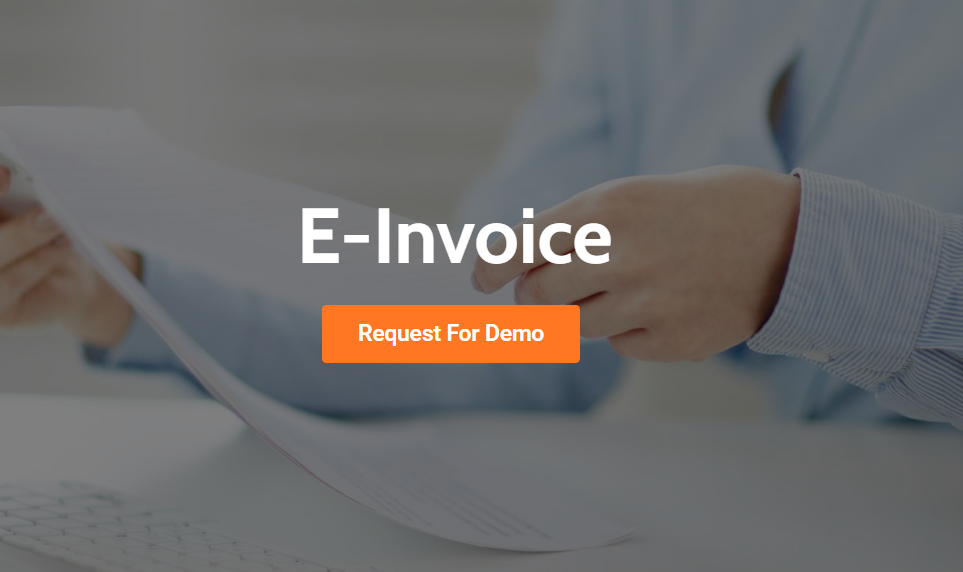 A Snippet of Rockbell's Request for Demo Page for E-Invoice.